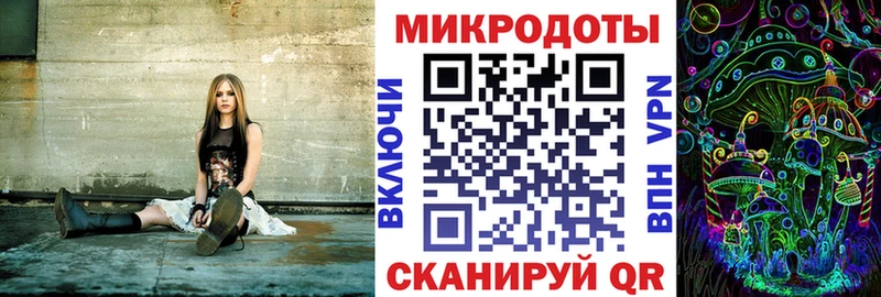 mega как зайти  где можно купить   Облучье  Псилоцибиновые грибы Psilocybine cubensis 